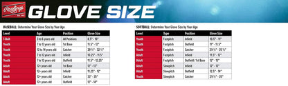 Rawlings Players Series T-Ball and Youth Baseball Gloves - Various Styles Available