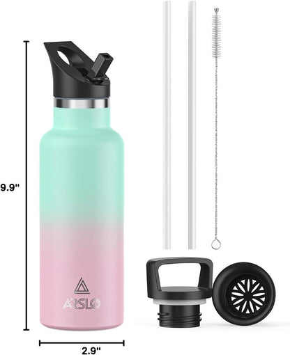 Stainless Steel Double Wall Water Bottles, Vacuum Insulated Bottle with Straw Lid, Insulated Water Bottle Keeps Water Cold for 24 Hours, Hot for 12 Hours, Hiking, Sports